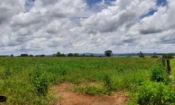 Imagem 6: FAZENDA 9 ALQUEIRES MUNICIPIO JARAGUA CULTURA