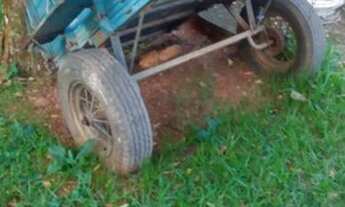 Imagem 2: Vendo está carroça