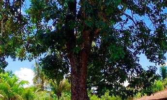 Imagem 7: Ótimo lote dentro de condomínio - Guará Park