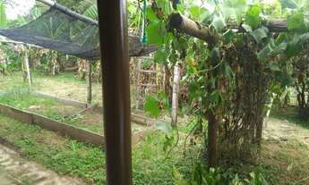 Imagem 2: Chácara Chácara com aluguel por R$300.000 /mês