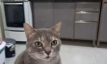 Imagem 2: Alugo quarto com banheiro individual