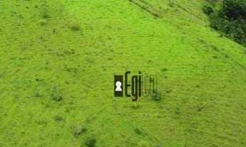 Imagem 7: Fazenda à Beira do Asfalto em Tabuleiro !!!