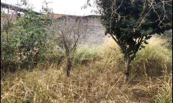 Imagem 7: Oportunidade em Betim no Bairro Nossa Senhora das Graças