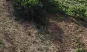 Imagem 5: Lote de 2000m² no Condomínio vista da Lagoa á 25 minutos do barreiro