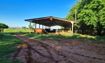 Imagem 6: Fazenda 1400 ha 96 km Campo Grande MS, beira da BR