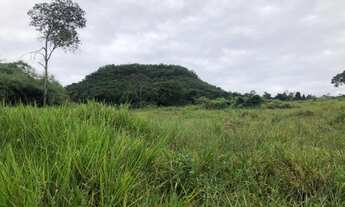 Imagem 5: Fazenda 61 alqueires otima Logistica