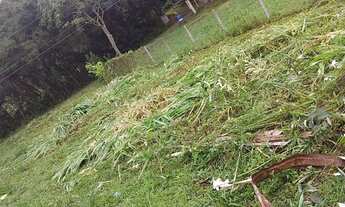 Imagem 3: Lote Gramado/ Carazal