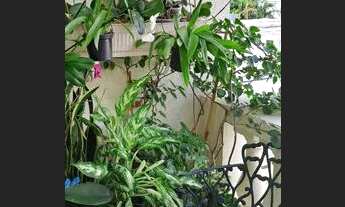 Imagem 3: Apartamento 3 quartos 1 vaga Vila Clementino