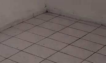 Imagem 2: Casa para alugar em primeiro andar