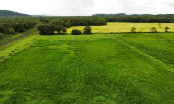 Imagem 3: Apto kitnet mobiliado Vila Nova Joinville