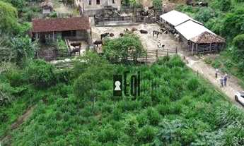 Imagem 3: Fazenda à Beira do Asfalto em Tabuleiro !!!