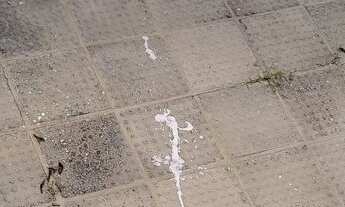 Imagem 5: Alugo casa Casa com 2 dormitórios