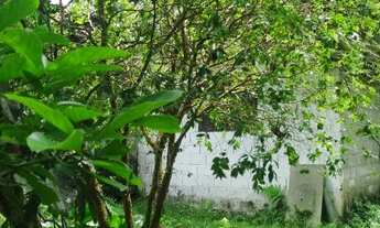 Imagem: Chácara com piscina oportunidade 250 mil