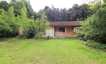 Imagem 7: Amplo terreno em ótima localização no bairro Itoupava Norte!