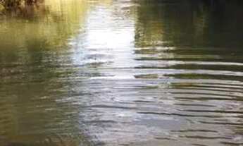 Imagem 6: Sítio 39 hectares