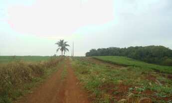 Imagem 7: AR 1021) 12 Hectares - Colonia Mousquer