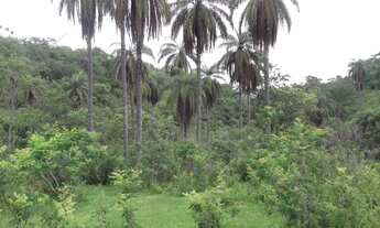 Imagem: Lote rural de 36.000m ²,belíssima vista