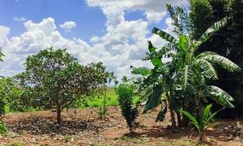 Imagem 7: Vendo chácara Chácara com venda por R$320.000