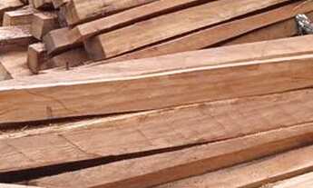 Imagem: Madeira - Vigota, Tarugo, Tábua