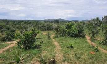 Imagem 2: FAZENDA À VENDA EM GOIANORTE TO 1.210 HECTARES (DUPLA APTIDÃO