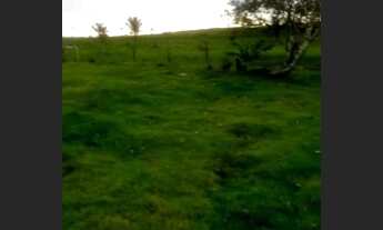 Imagem 7: FAZENDA LOCALIZADA EM ARIPUANÃ-MT