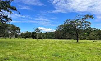 Imagem 3: Sítio 3,0 alqueires, acesso saída de Uberlândia sentido Campo Florido