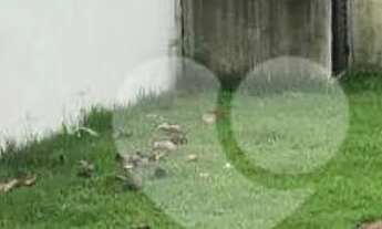 Imagem 5: Casa com 3 quartos à venda, 140 m² por R$ 2.086.335 - Recreio dos Bandeirantes - Rio de Ja