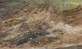 Imagem 5: Terrenos Residenciais no Bairro Jardim São Paulo, em Cedral/SP