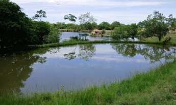 Imagem 4: Vendo sítio na região de Goiás velho preço muito bom
