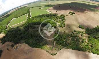 Imagem: Fazenda 3 Rosas codigo 162076