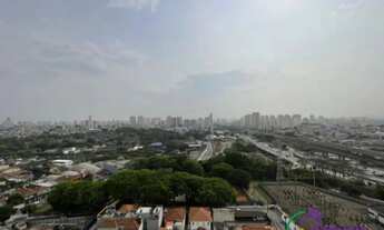 Imagem 5: COMERCIAL - TATUAPÉ - SP