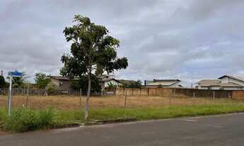 Imagem 4: Terreno Said Salomao. Terreno de 300 m2. Av Equador. Parcialmente murado