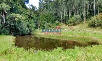Imagem 3: Sitio à venda em Santa Branca, Mombuca