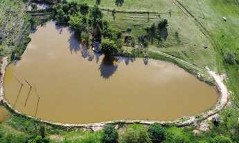 Imagem 4: Vendo Sítio com lagoa / 3 hectares em Araricá/RS