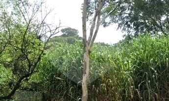 Imagem 4: Terreno à venda em Pacaembu - SP