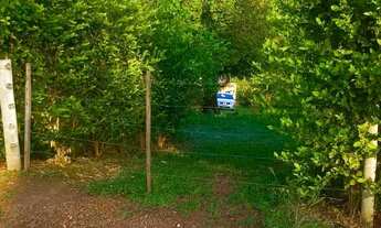 Imagem 2: Chácara proximo Aragoiânia