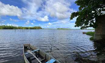 Imagem 4: Beira da Lagoa /Lote/Terreno para venda com 1470m2 Povoado Pedras rua asfalta- Marechal De