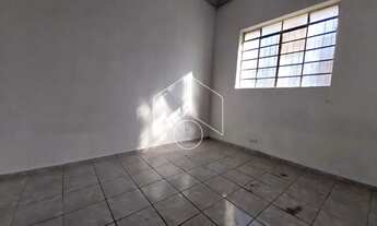 Imagem 7: Comercial GalpãoBarracão em Marília