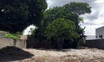 Imagem 7: Lote para venda possui 450 m² em Massagueira - Marechal Deodoro - AL