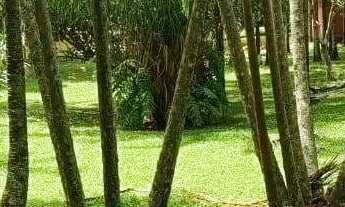 Imagem 3: 3 alqueires a venda no município de Varjão- GO