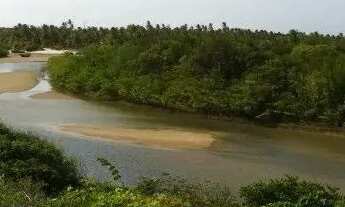 Imagem: ATINS/MA VENDO BEIRA DO RIO