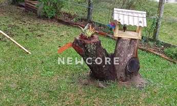 Imagem 7: Sítio em Sitio - Centro - Capela de Santana/RS