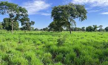 Imagem 2: FAZENDA EM BURITIZEIRO MG NA BEIRA DO RIO SÃO FRANCISCO FORMADA E COM DOIS PIVÔS