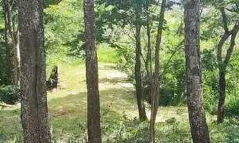 Imagem 2: VENDO TERRENO CHÁCARA MORRO SETIMO CÉU