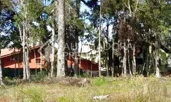 Imagem 4: Terreno no bairro Carniel