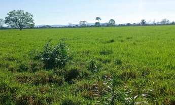 Imagem 2: Fazenda 1994 hectares documentada Cuiabá mt