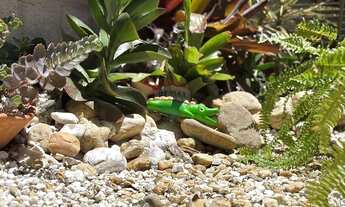 Imagem 5: Casa dos Sonhos nos Ingleses, Florianópolis!