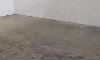 Imagem 4: Galpão para alugar por R$ 12.000,00/mês - IAPI - Salvador/BA