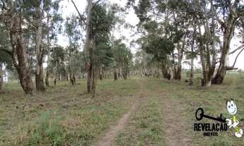 Imagem 2: Área à venda, 85000 m² por R$ 42.500.000,00 - Planta Quississana - São José dos Pinhais/PR