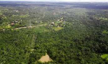 Imagem 6: Vendo uma chacará em cajupary com 10ha - (100.000M²